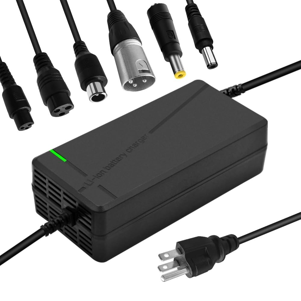 67.2V 5A Multi-Voltage Charger with 6-in-1 Plug for 60V Lithium Batteries – Car,