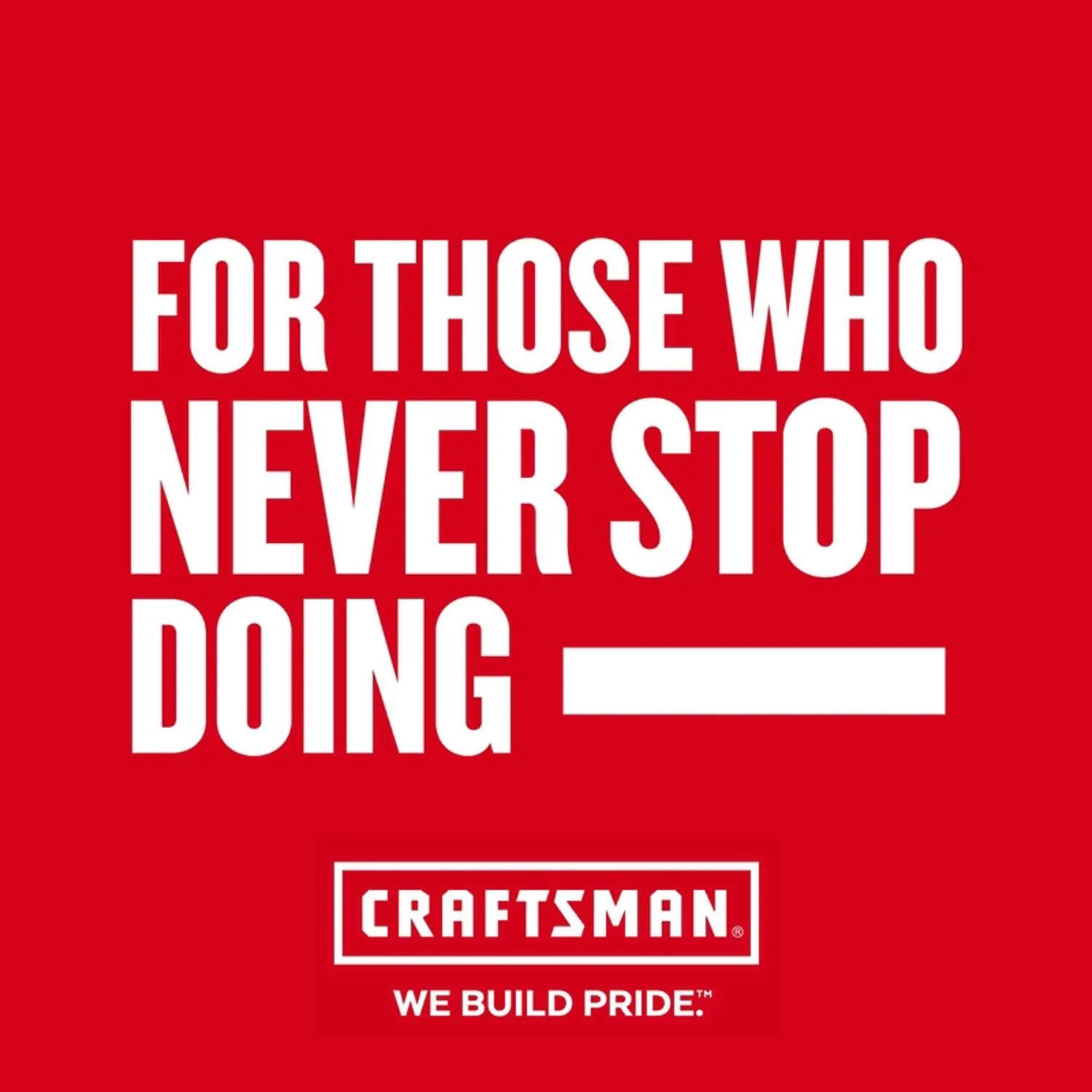 CRAFTSMAN 20V MAX USB Charging Device CMCB002B