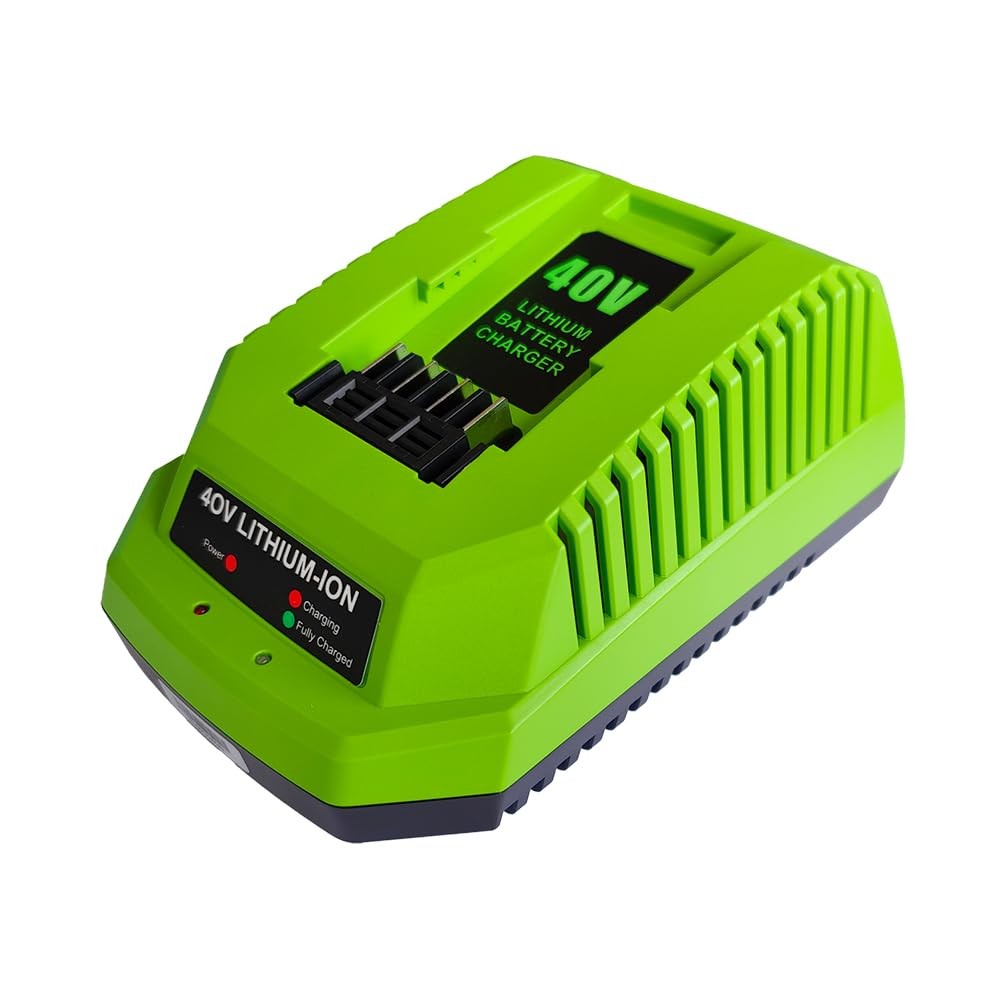 Aunstarwei 40V 2A Replacement Battery Charger Compatible Greenworks 40V Battery