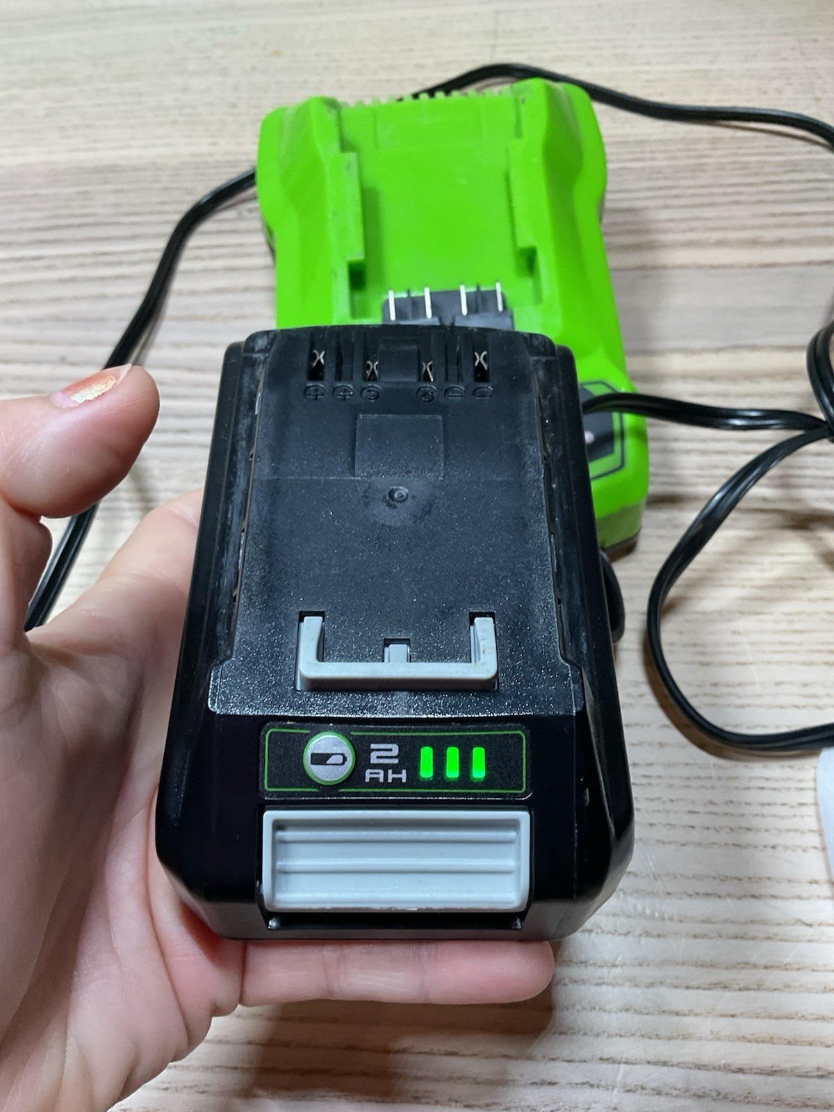 Greenworks 24V Lithium-Ion Rapid Battery Charger Model 2903102 OEM