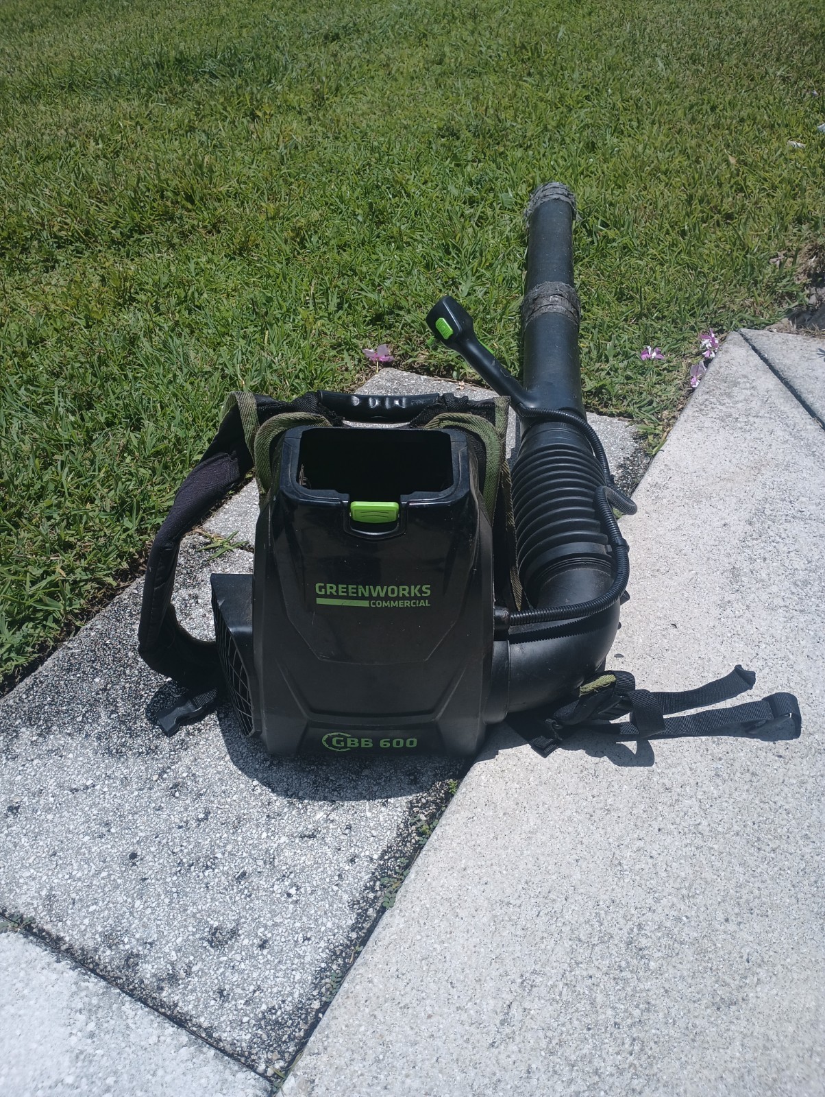 Green Works commercial GBB 600 82 volt backpack blower