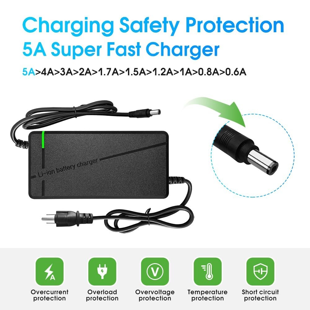 67.2V 5A Multi-Voltage Charger with 6-in-1 Plug for 60V Lithium Batteries – Car,