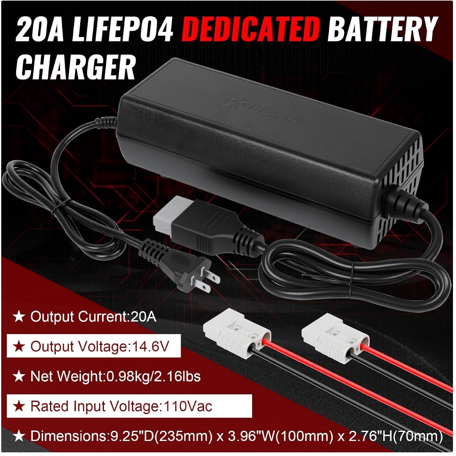 Professional 12V LiFePO4 Charger with Safety Features