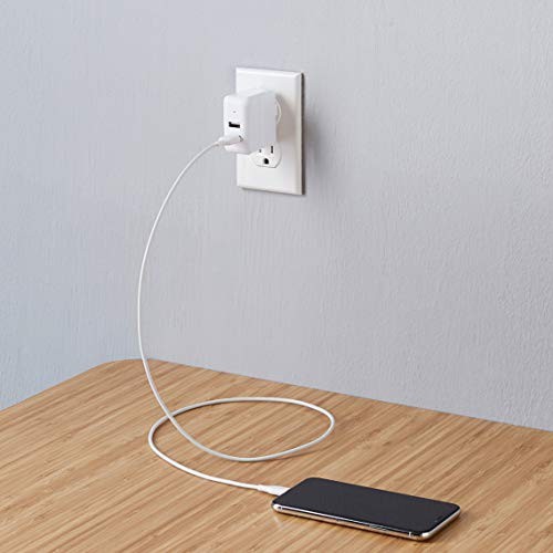 Retailer Basics 24W Two Port Usb-A Wall Charger 12W 2.4A Per Port For Phones