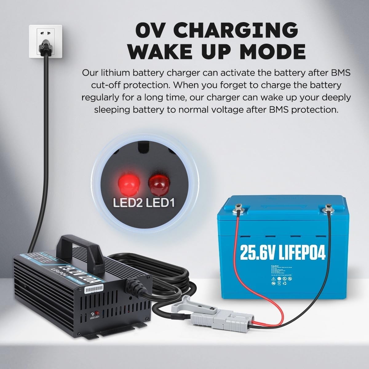 Smart 24V 20A LiFePO4 Battery Charger with LED Indicators for Off-Grid Solutions