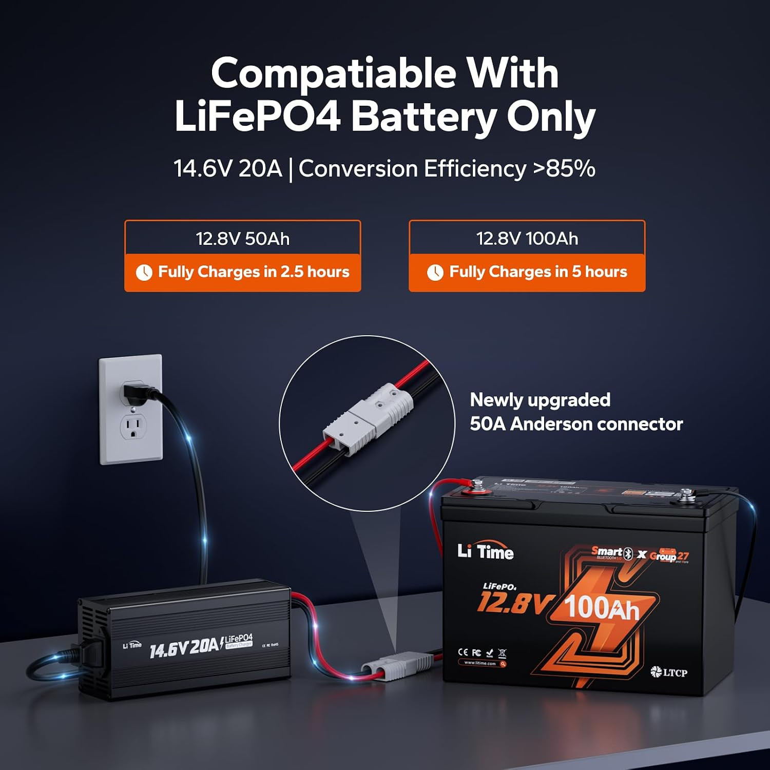 LiTime 12V 20A Lithium Battery Charger, AC-DC Charger with Anderson Connector &