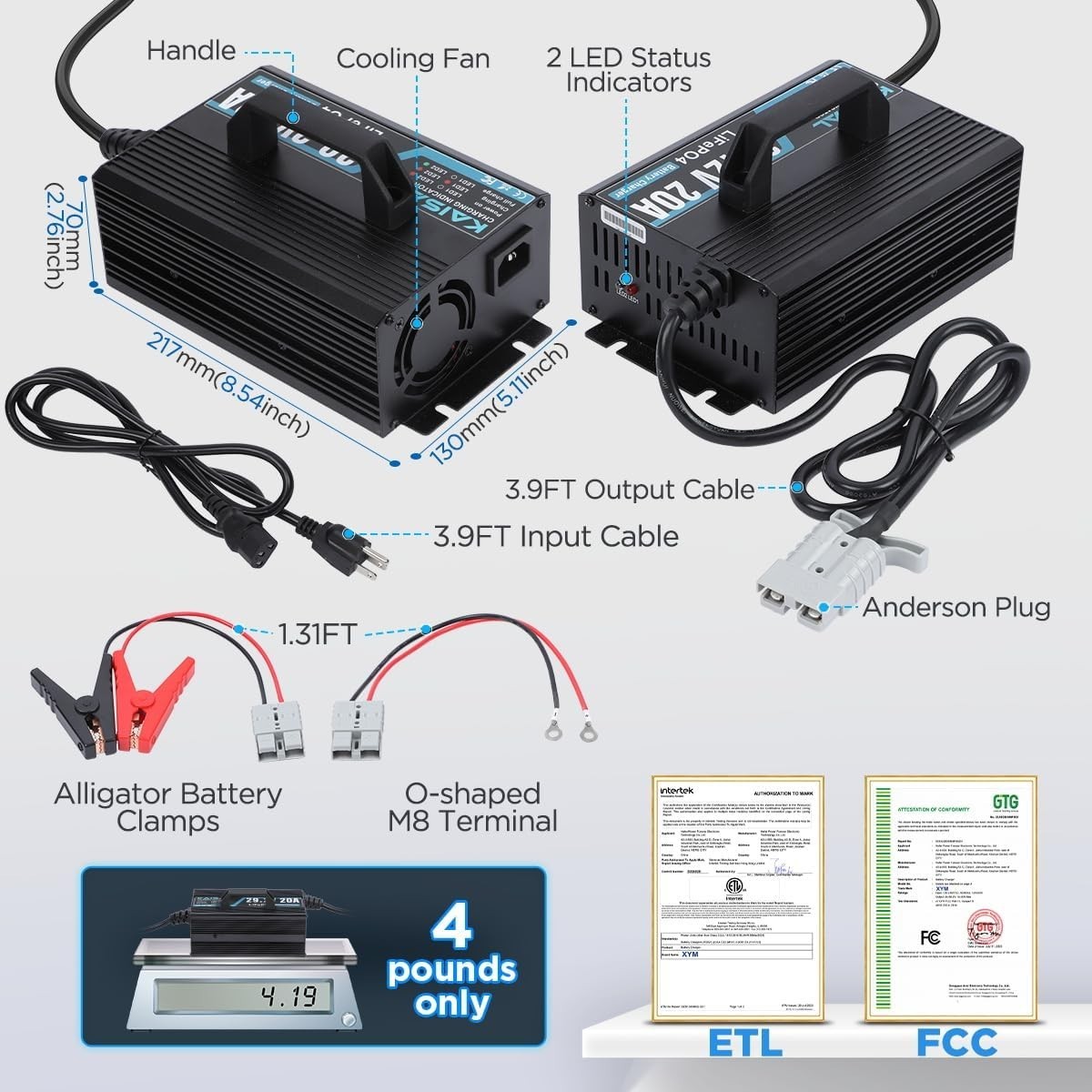 Smart 24V 20A LiFePO4 Battery Charger with LED Indicators for Off-Grid Solutions