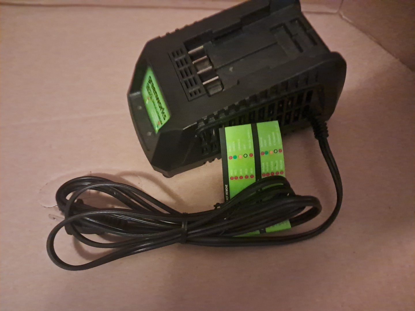 Greenworks 24V Charger G24 Genuine 24 Volt