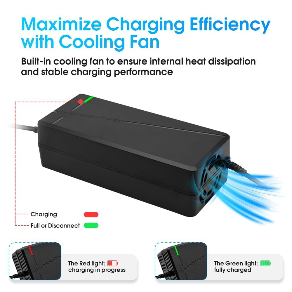 67.2V 5A Multi-Voltage Charger with 6-in-1 Plug for 60V Lithium Batteries – Car,