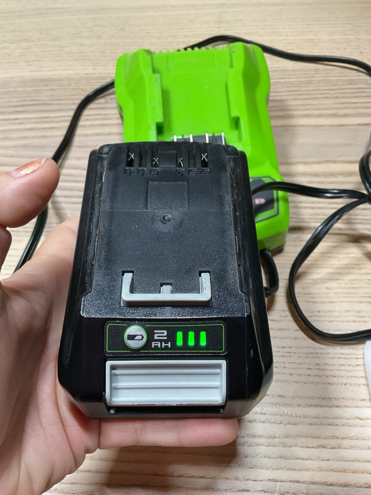 Greenworks 24V Lithium-Ion Rapid Battery Charger Model 2903102 OEM