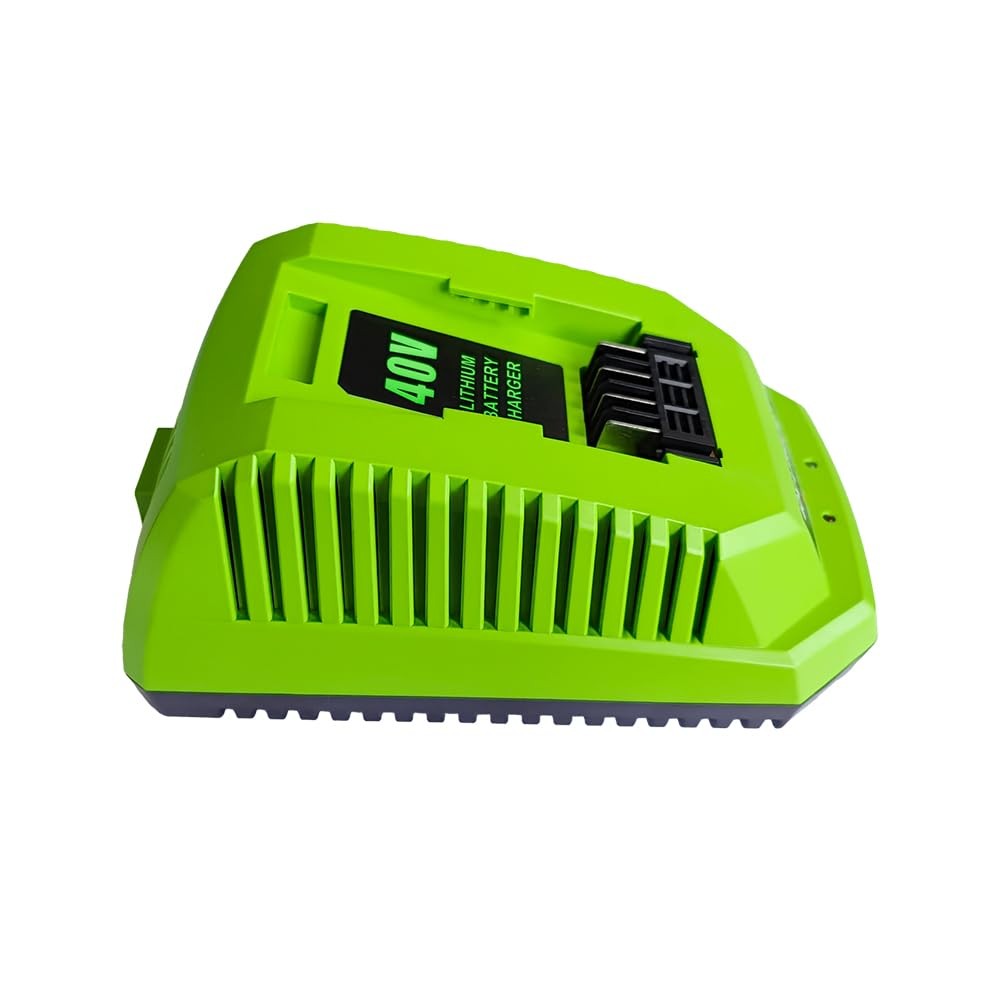 Aunstarwei 40V 2A Replacement Battery Charger Compatible Greenworks 40V Battery