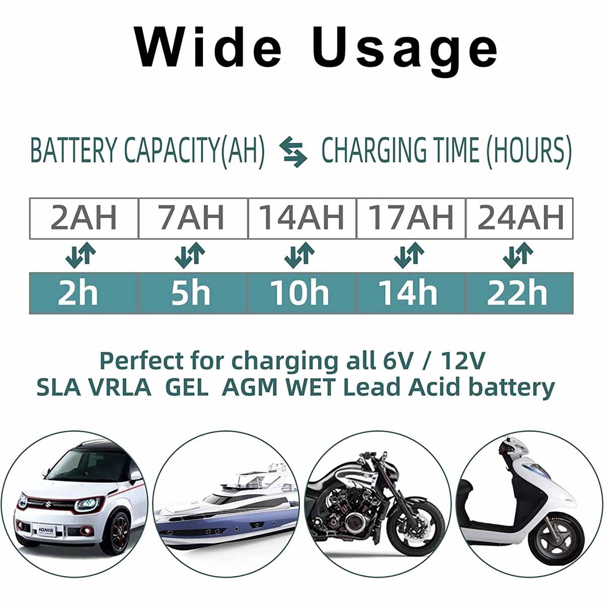 6V 12V Trickle Charger, Battery Desulfator for Car, Lawn Mower, Motorcycle, Boat