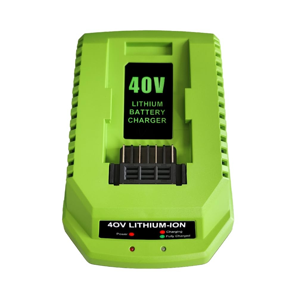 Aunstarwei 40V 2A Replacement Battery Charger Compatible Greenworks 40V Battery