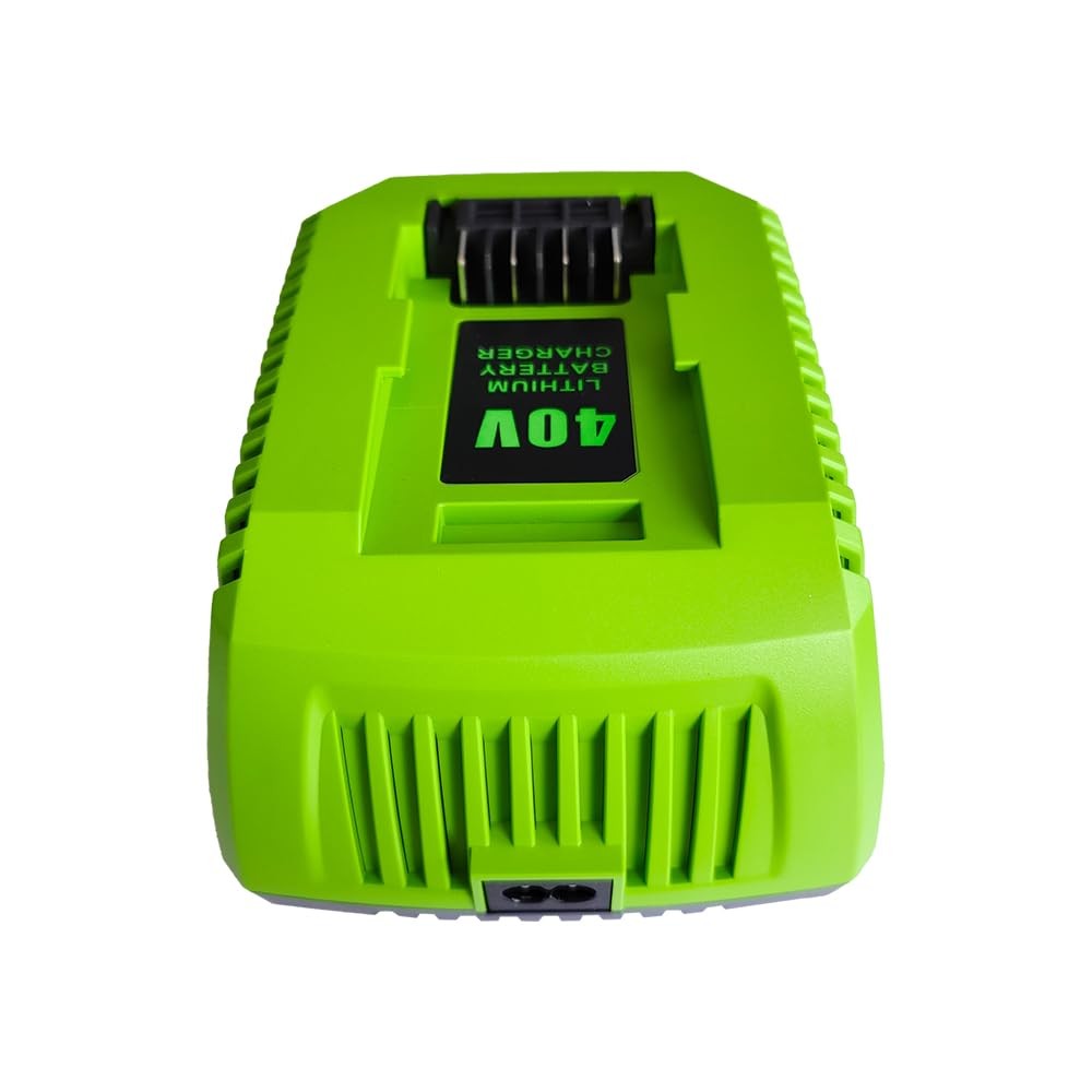 Aunstarwei 40V 2A Replacement Battery Charger Compatible Greenworks 40V Battery